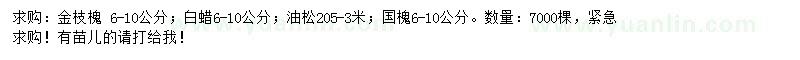 求購6-10公分金枝槐、國槐、油松等