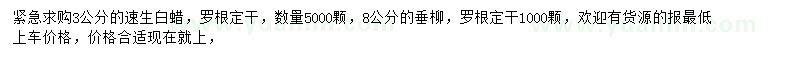 求購(gòu)3公分速生白蠟、垂柳