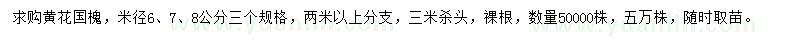 求購(gòu)米徑6、7、8公分黃花國(guó)槐