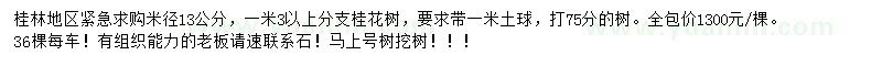 求購米徑13公分桂花