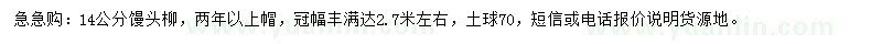 求購14公分饅頭柳