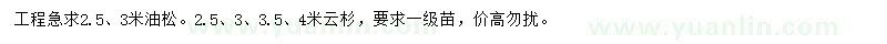 求購2.5、3米油松、2.5、3、3.5、4米云杉