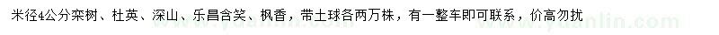 求購(gòu)欒樹、杜英、深山含笑等