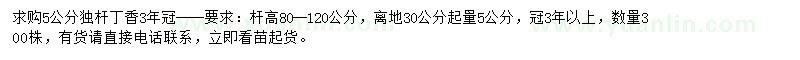 求購5公分丁香