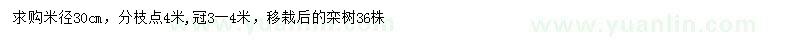 求購米徑30公分欒樹