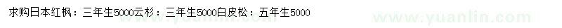 求購日本紅楓、云杉、白皮松