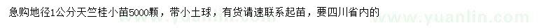 求購地徑1公分天竺桂小苗