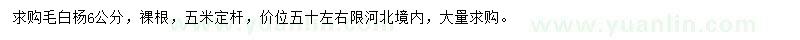 求購6公分毛白楊