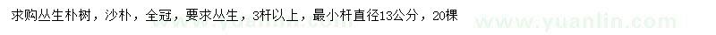 求購直徑13公分叢生樸樹、沙樸