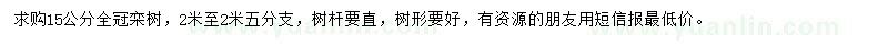 求購15公分欒樹