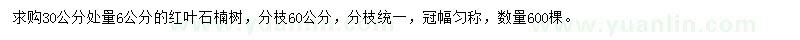 求購30公分處量6公分紅葉石楠