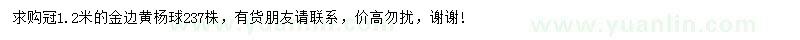 求購冠1.2米金邊黃楊球