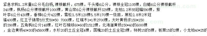 求購(gòu)毛白楊、千頭椿、白蠟等