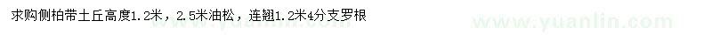 求購側柏、油松、連翹