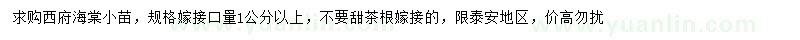 求購西府海棠小苗