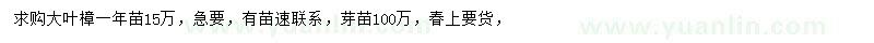求購大葉樟苗