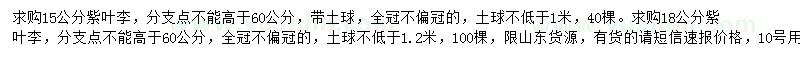 求購15公分紫葉李和18公分紫葉李