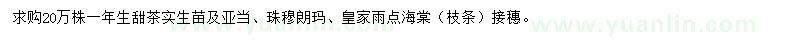 求購一年生甜茶實生苗 