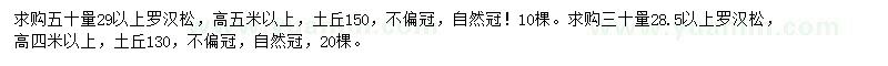 求購50量29公分以上羅漢松
