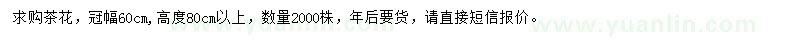 求購地徑2公分、冠幅60公分茶花