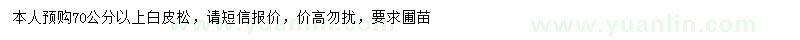 求購70公分以上白皮松