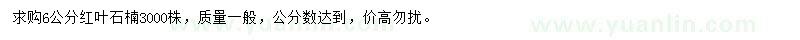 求購6公分紅葉石楠