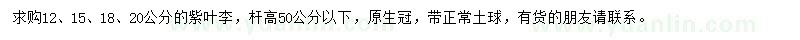 求購12、15、18、20公分紫葉李