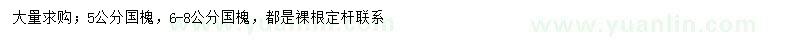 求購5-8公分國槐