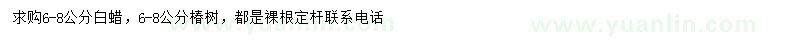 求購(gòu)6-8公分椿樹(shù)、白蠟