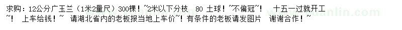 求購12公分廣玉蘭
