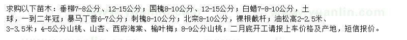 求購垂柳、國槐、白蠟等