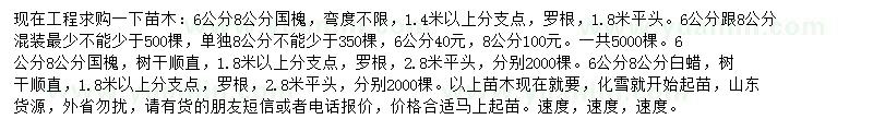 求購(gòu)6、8公分國(guó)槐、白蠟