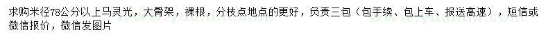 求購米徑78公分以上馬靈光