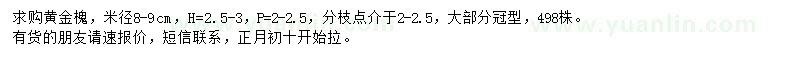 求購米徑8-9公分黃金槐