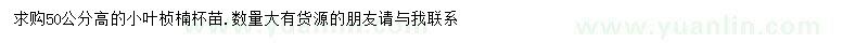 求購(gòu)高50公分小葉楨楠杯苗