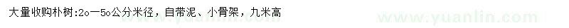 求購米徑20-50公分樸樹
