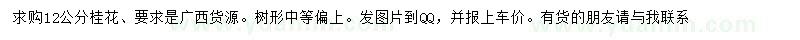 求購12公分桂花
