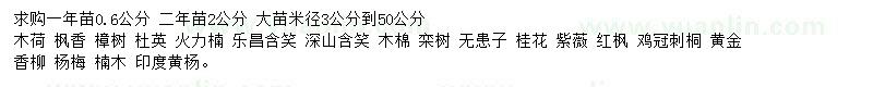 求購木荷、楓香、樟樹等