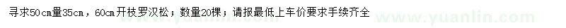 求購50公分量35公分羅漢松