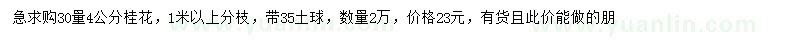 求購30量4公分桂花