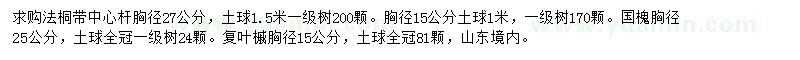 求購(gòu)法桐、國(guó)槐、復(fù)葉槭