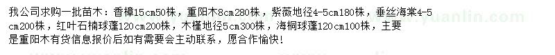 求購(gòu)香樟、重陽(yáng)木、紫薇等