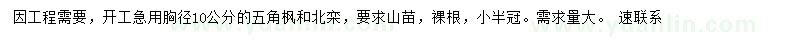 求購10公分五角楓、北京欒
