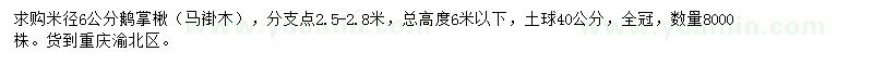 求購6公分鵝掌楸（馬褂木）
