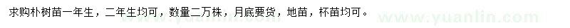 求購一年生樸樹苗