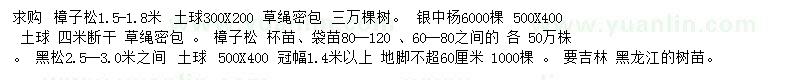 求購樟子松、銀中楊、黑松
