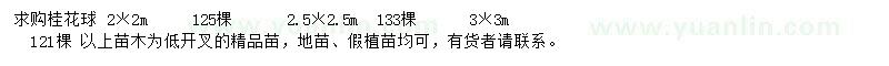 求購叢生桂花