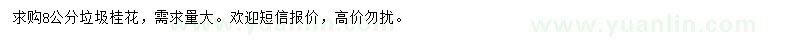 求購8公分垃圾桂花