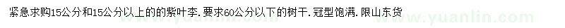 求購15、15公分以上紫葉李