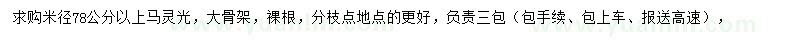 求購米徑78公分以上馬靈光